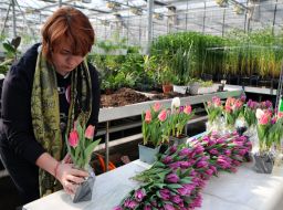 Employees of the greenhouse and hothouse economy