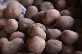 Potato