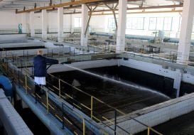 Employee of Desnyanskaya waterworks station holds a hose