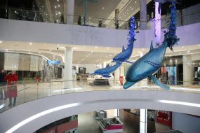 Decoration in the SEC "Ocean Plaza"