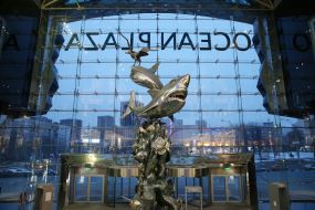 Sculptural composition