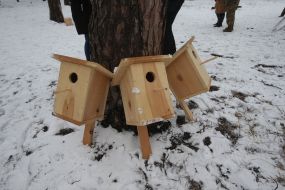 Birdhouses
