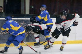 2018 Hockey Championship among juniors. Ukraine - Japan