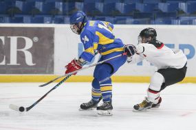 2018 Hockey Championship among juniors. Ukraine - Japan