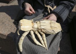 "March for Science. Ukraine - 2018" in Kyiv