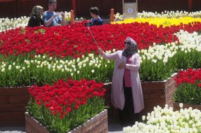 People walk in the Flower Garden
