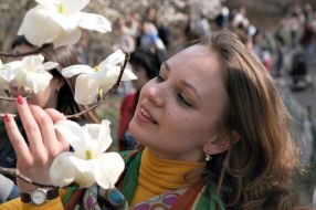 Girl in the Magnolia