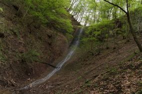 Водоспад у лісі