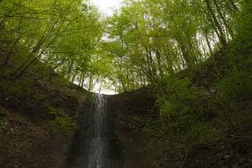 Водоспад у лісі