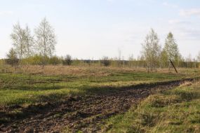 Neighborhoods of Chernobyl