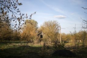 Neighborhoods of Chernobyl