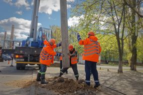 Mounting the electrical support