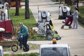 New technology of "Kyivzelenbud"