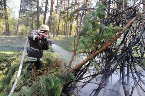 Training on extinguishing large-scale forest fires