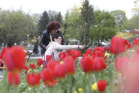 Женщины рассматривают тюльпаны