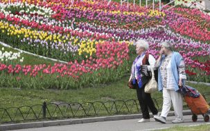 Женщины рассматривают тюльпаны