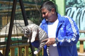 Игорь Кальченко держит бенгальского тигренка