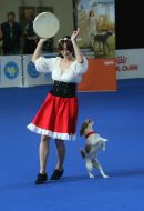 Cynological Freestyle 