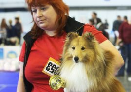 Exhibition of dogs of all breeds