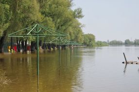 Flooded as a result of the Desna river flood, the city beach
