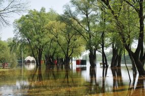 Flooded as a result of the Desna river flood, the city beach