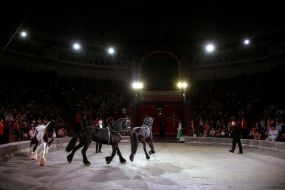 Premiere of the new program "Kyiv Frescos"