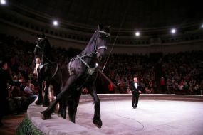 Premiere of the new program "Kyiv Frescos"