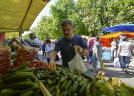 Food fair