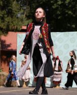 Showing the collection "Transformation"