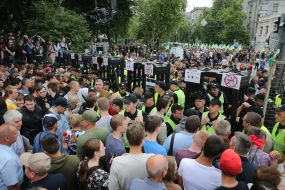 Participants of the action