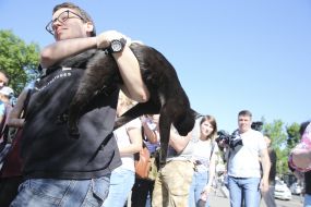 Девушка держит кота Александра Кольченко