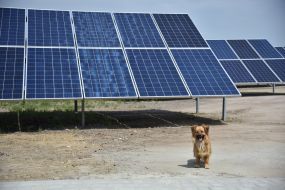 Solar power plant "Shchyrets -1"