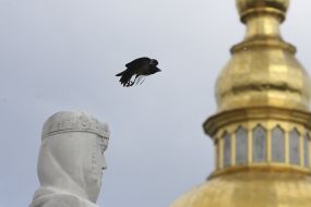 The crow flies by the monument to Princess Olga in Kiev