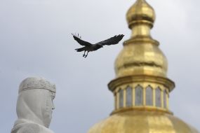 The crow flies by the monument to Princess Olga in Kiev