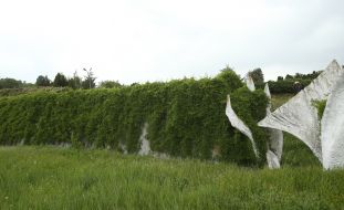 "The Wall of Memory"