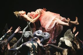 Premiere of the ballet "Sleeping Beauty"