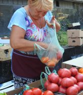 Продавец упаковывает помидоры в полиэтиленовый пакет