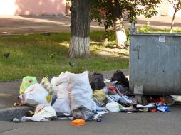 Разбросанный возле контейнера мусор