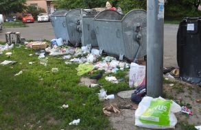 Разбросанный возле контейнера мусор