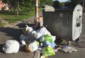 Разбросанный возле контейнера мусор