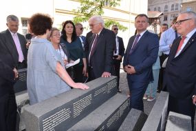 Frank-Walter Steinmeier, Oleg Sinyutka 