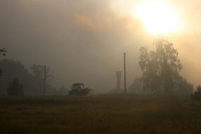 Лесной пожар возле ЧАЭС