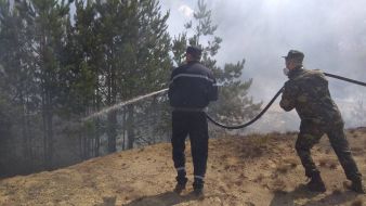 Лесной пожар возле ЧАЭС