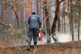 Лесной пожар возле ЧАЭС