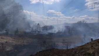 Лесной пожар возле ЧАЭС