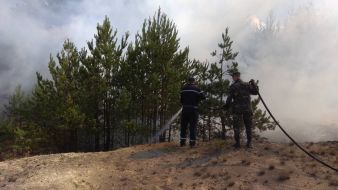 Лесной пожар возле ЧАЭС