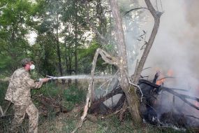 Лесной пожар возле ЧАЭС