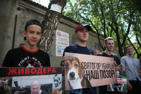 Zoo protectors hold protest action near Shevchenko court