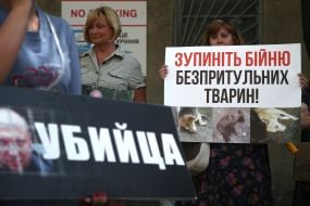 Zoo protectors hold protest action near Shevchenko court