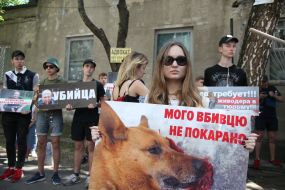 Zoo protectors hold protest action near Shevchenko court